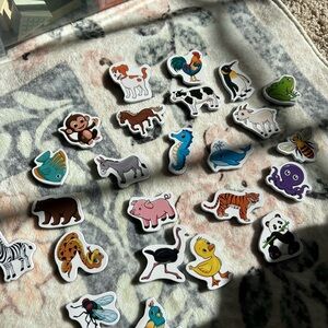 Colorful Animal Magnets